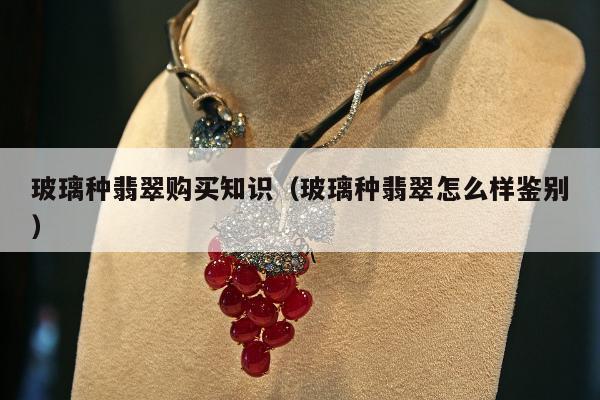玻璃种翡翠购买知识（玻璃种翡翠怎么样鉴别）