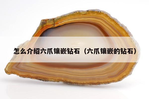 怎么介绍六爪镶嵌钻石（六爪镶嵌的钻石）