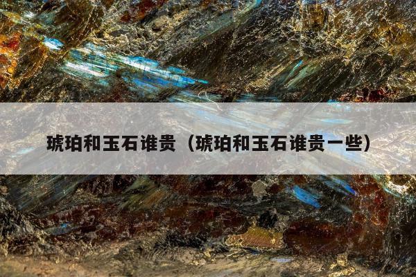 琥珀和玉石谁贵（琥珀和玉石谁贵一些）