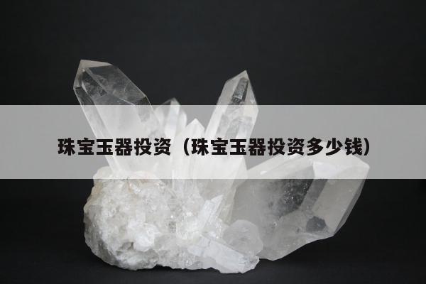 珠宝玉器投资（珠宝玉器投资多少钱）