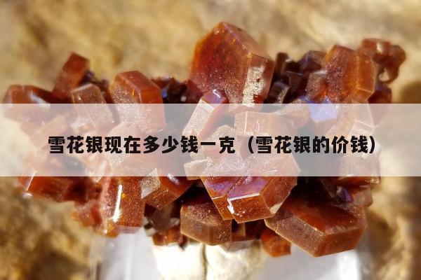 雪花银现在多少钱一克（雪花银的价钱）
