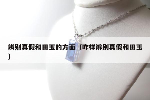 辨别真假和田玉的方面（咋样辨别真假和田玉）