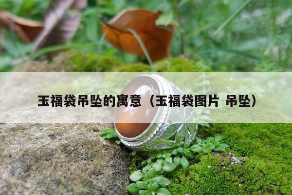 玉福袋吊坠的寓意（玉福袋图片 吊坠）