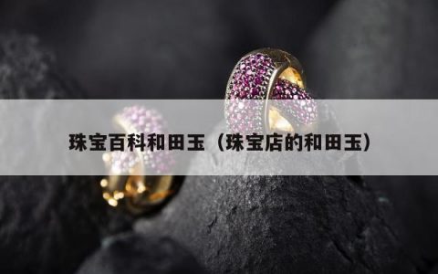 珠宝百科和田玉（珠宝店的和田玉）