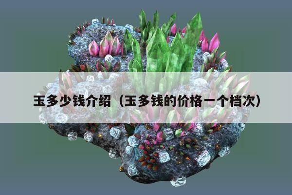 玉多少钱介绍（玉多钱的价格一个档次）