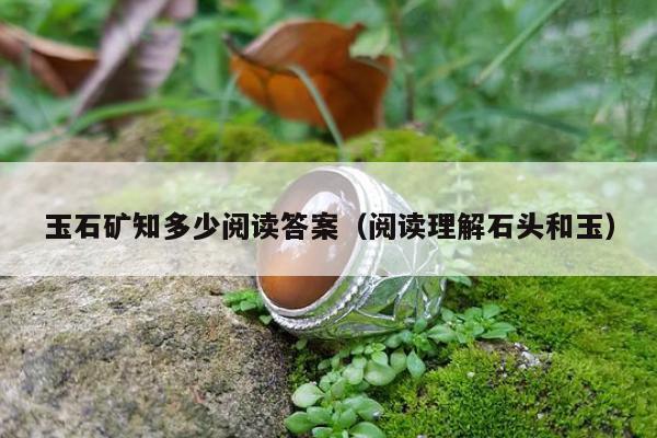 玉石矿知多少阅读答案（阅读理解石头和玉）