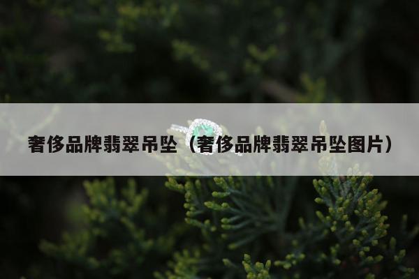 奢侈品牌翡翠吊坠（奢侈品牌翡翠吊坠图片）