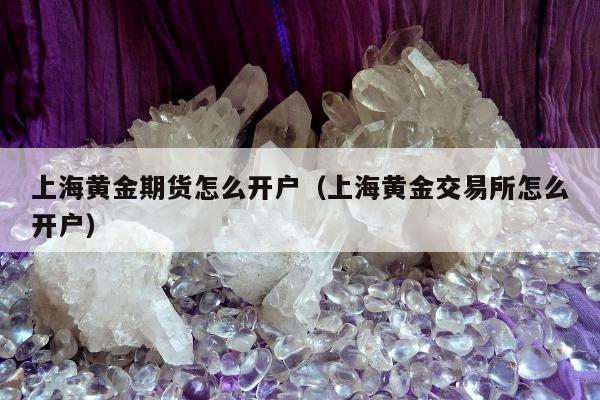 上海黄金期货怎么开户（上海黄金交易所怎么开户）