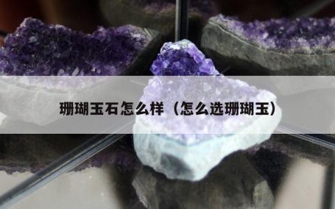 珊瑚玉石怎么样（怎么选珊瑚玉）