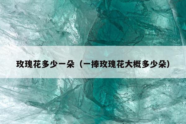 玫瑰花多少一朵（一捧玫瑰花大概多少朵）