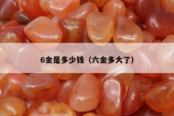 金是多少钱（六金多大了）"