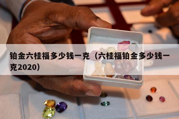 铂金六桂福多少钱一克（六桂福铂金多少钱一克2020）
