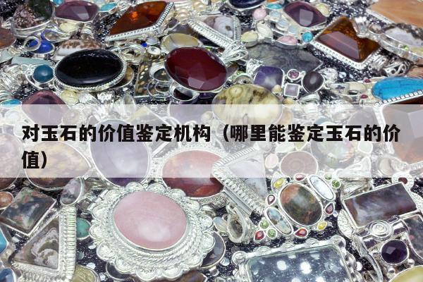对玉石的价值鉴定机构（哪里能鉴定玉石的价值）