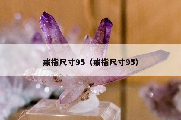 戒指尺寸95（戒指尺寸95）