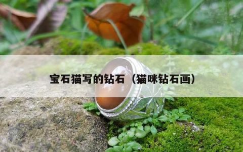 宝石猫写的钻石（猫咪钻石画）