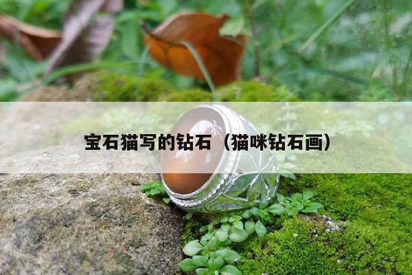 宝石猫写的钻石（猫咪钻石画）