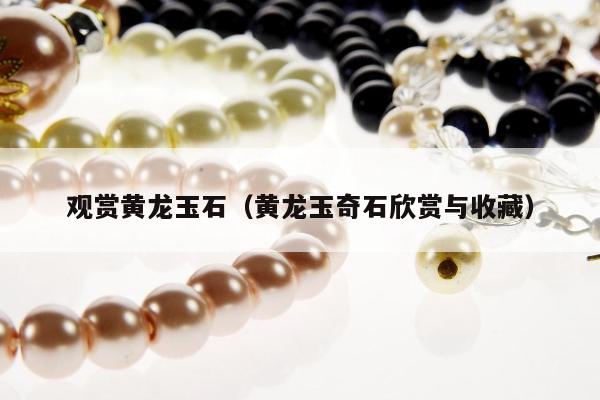 观赏黄龙玉石（黄龙玉奇石欣赏与收藏）