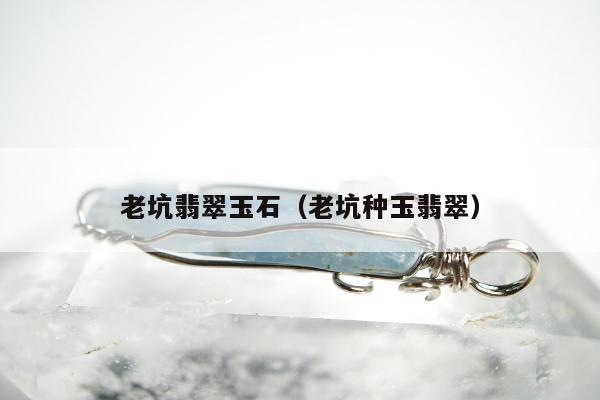 老坑翡翠玉石（老坑种玉翡翠）