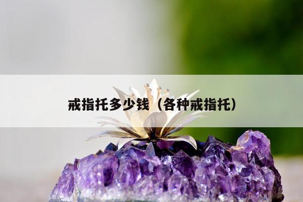 戒指托多少钱（各种戒指托）
