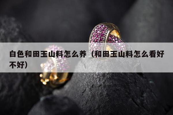 白色和田玉山料怎么养（和田玉山料怎么看好不好）