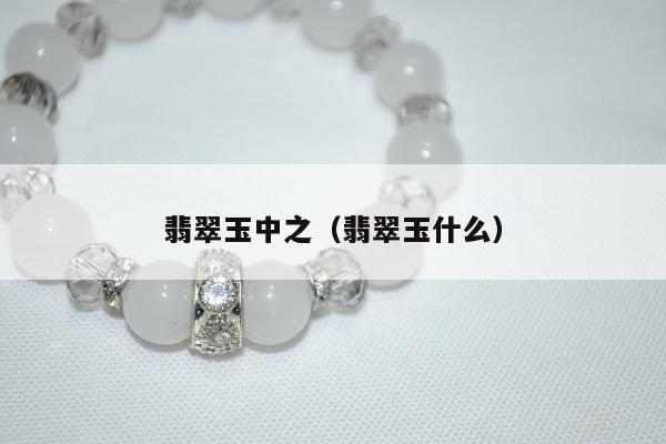 翡翠玉中之（翡翠玉什么）