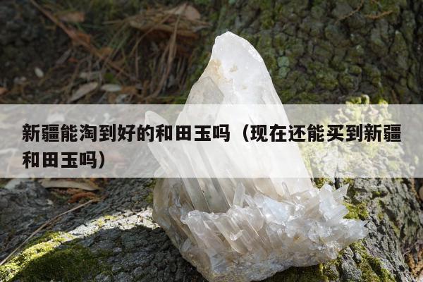 新疆能淘到好的和田玉吗（现在还能买到新疆和田玉吗）