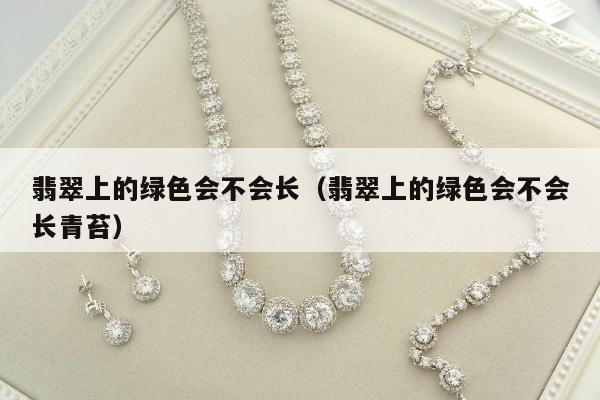 翡翠上的绿色会不会长（翡翠上的绿色会不会长青苔）