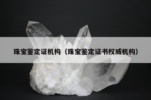 珠宝鉴定证机构（珠宝鉴定证书权威机构）