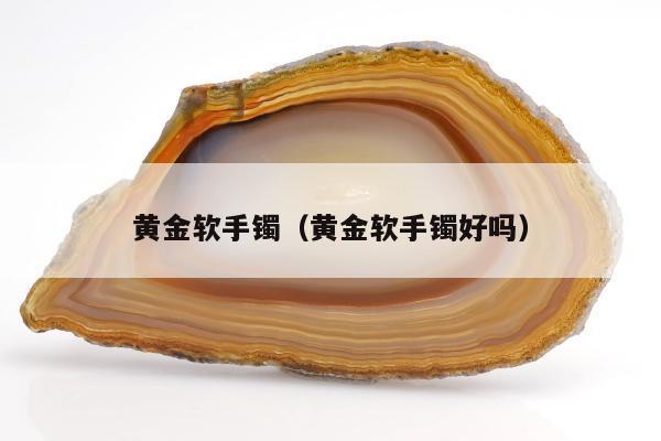 黄金软手镯（黄金软手镯好吗）
