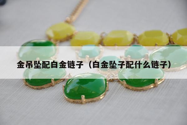 金吊坠配白金链子（白金坠子配什么链子）