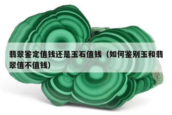 翡翠鉴定值钱还是玉石值钱（如何鉴别玉和翡翠值不值钱）