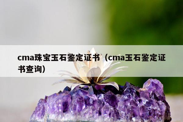 cma珠宝玉石鉴定证书（cma玉石鉴定证书查询）