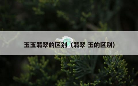 玉玉翡翠的区别（翡翠 玉的区别）