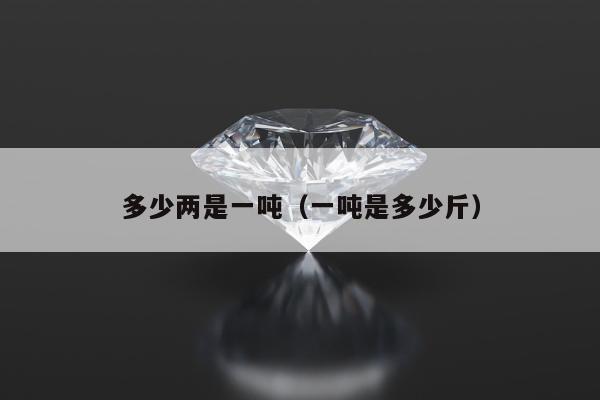多少两是一吨（一吨是多少斤）