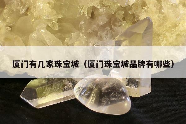 厦门有几家珠宝城（厦门珠宝城品牌有哪些）