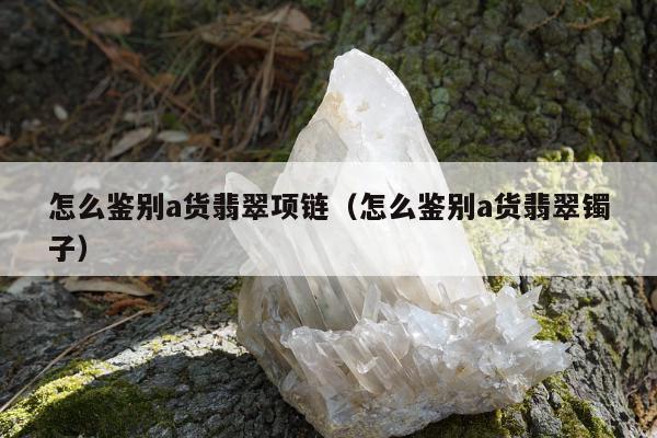 怎么鉴别a货翡翠项链（怎么鉴别a货翡翠镯子）