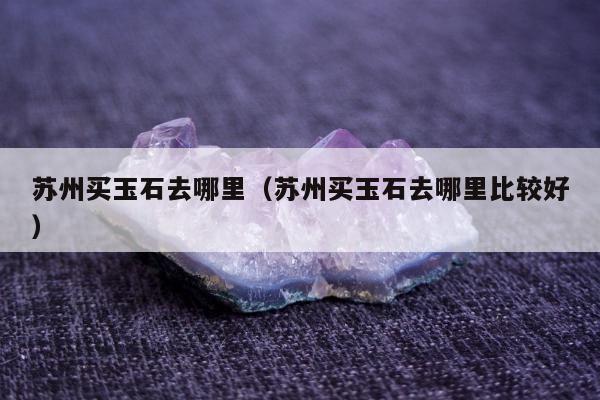 苏州买玉石去哪里（苏州买玉石去哪里比较好）