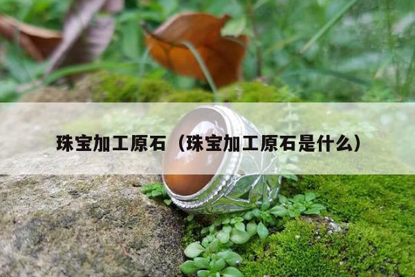 珠宝加工原石（珠宝加工原石是什么）