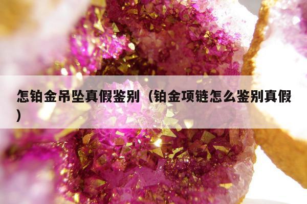 怎铂金吊坠真假鉴别（铂金项链怎么鉴别真假）