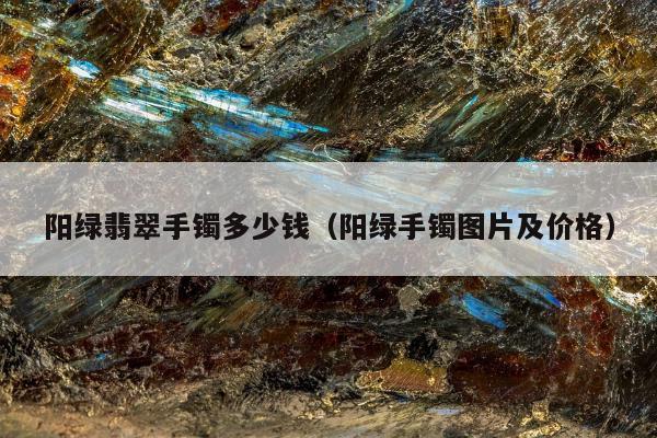 阳绿翡翠手镯多少钱（阳绿手镯图片及价格）