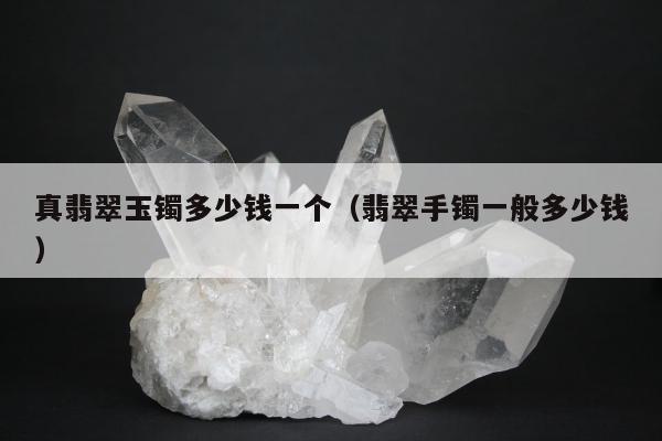 真翡翠玉镯多少钱一个（翡翠手镯一般多少钱）