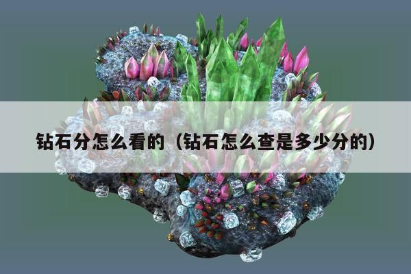 钻石分怎么看的（钻石怎么查是多少分的）