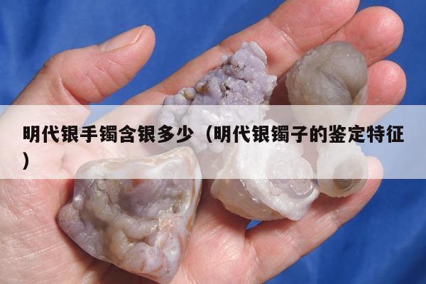 明代银手镯含银多少（明代银镯子的鉴定特征）