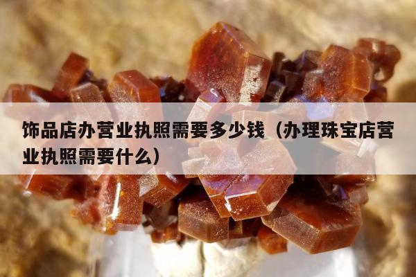 饰品店办营业执照需要多少钱（办理珠宝店营业执照需要什么）
