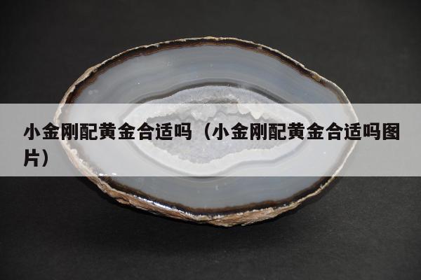 小金刚配黄金合适吗（小金刚配黄金合适吗图片）