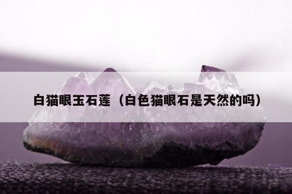 白猫眼玉石莲（白色猫眼石是天然的吗）