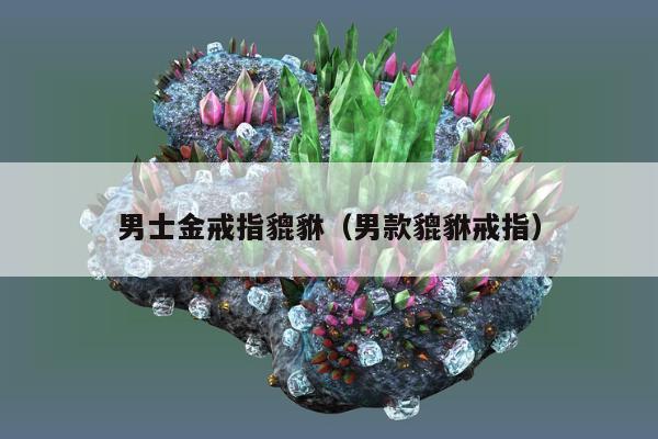 男士金戒指貔貅（男款貔貅戒指）