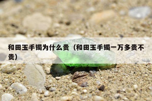 和田玉手镯为什么贵（和田玉手镯一万多贵不贵）