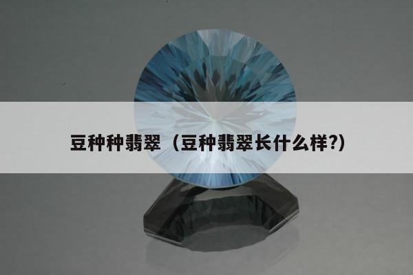 豆种种翡翠（豆种翡翠长什么样?）