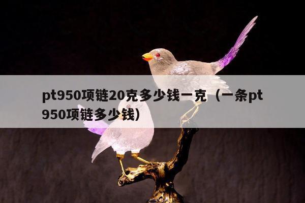 pt950项链20克多少钱一克（一条pt950项链多少钱）